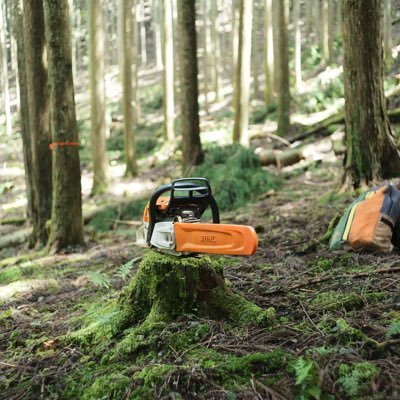 fandf2023's profile picture. 循環型林業で森林を育み、知識と技術で地球環境を守る。山を愛し、山に愛される林業のプロフェッショナル集団。100年後の森を、未来の子どもたちのために。