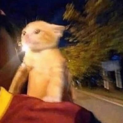 HydroX_CS2's profile picture. CS2 Skins Collector and Trader