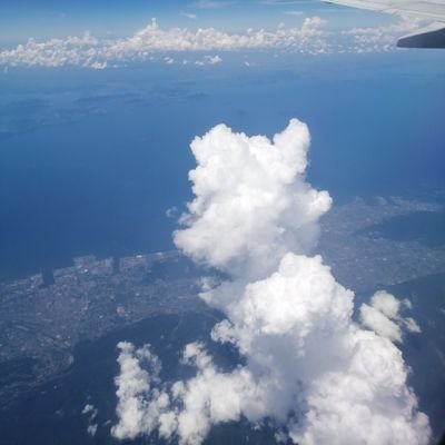 Tom04419's profile picture. 