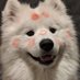 มอยอ ᙏ̤̫ (@its_xmari) Twitter profile photo มอยอ ᙏ̤̫ (@its_xmari) Twitter profile photo