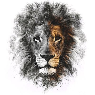 Stand4whtsrt's profile picture. Micah 7:8 - Rejoice not over me, O my enemy. Though I fall, I will rise. though i sit in darkness, the Lord will be light.

Pronouns: Resist/Government/Tyranny