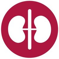 BDA Renal Nutrition(@bda_renal) 's Twitter Profile Photo