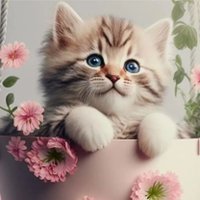 we love cats very much(@MustHaveCat) 's Twitter Profile Photo