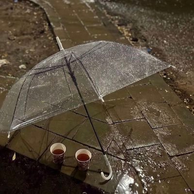 kacaesr's profile picture. رب اني لما ازلت الي من خير فقير 🤍