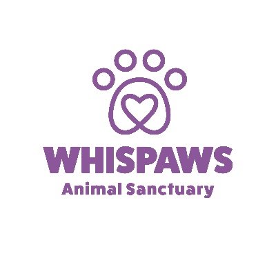 Providing love and a home to abandoned dogs in Serbia 🐾 Registered Charity in the UK no. 1202887 Founder @WhispersRedASMR