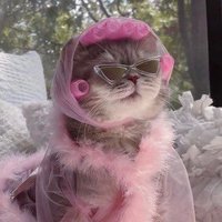 Jiji 。⋆୨୧˚ (@clemencals) 's Twitter Profile