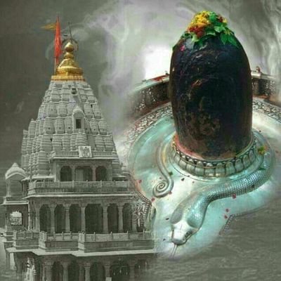 vaibs59684's profile picture. 