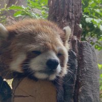 ʸᵤ (@yuuuu066) 's Twitter Profile Photo ʸᵤ (@yuuuu066) 's Twitter Profile Photo