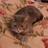 Vep_ (@vep_) Twitter profile photo