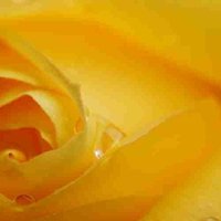 Glory Cagle (@gloryc55333) 's Twitter Profile