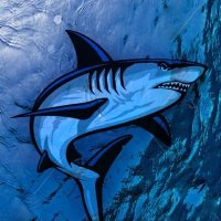 NSU News (@nsunews) 's Twitter Profile Photo NSU News (@nsunews) 's Twitter Profile Photo