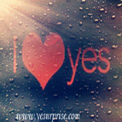 Yesurprise's profile picture. Pay Less, Get http://t.co/gnWSCrj7iy #hairwig #nailcare #beauty #jewelry #cloth #apparel #watch #tea #fashion #YogaClothing #swimwear #swimsuit #wedding