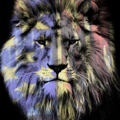 LibertyRising45's profile picture. 