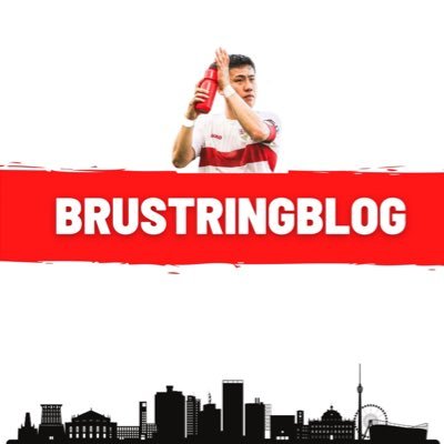 brustringblog