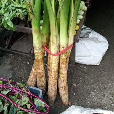 Bongsandy's profile picture. Damn easy to be fooled