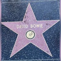 DBowieisGod(@DBowieisGod) 's Twitter Profile Photo