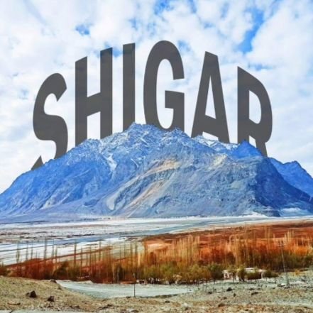 MAShigri's profile picture. 