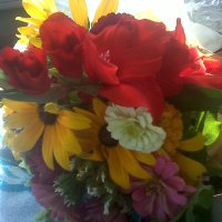 poofey one 🇺🇦🌊🕊️☮️💙🌈 (@poofeyone) 's Twitter Profile Photo poofey one 🇺🇦🌊🕊️☮️💙🌈 (@poofeyone) 's Twitter Profile Photo