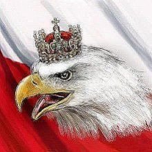 Tylko prawa strona , młot na lewactwo , nie pozwolimy nasrać i obrażać wielkiego narodu naszego 🇵🇱🤍♥️