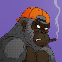 rizz.kongz.eth(@rizzwindy) 's Twitter Profile Photo