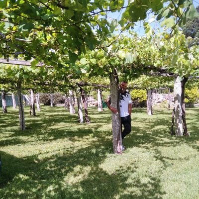 La única paz que encontrarás en las cimas de las montañas es la que tú mismo lleves allí.