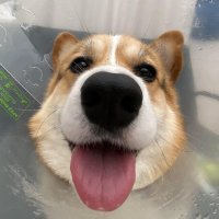 FTW_LOL (@ftwlol2) Twitter profile photo