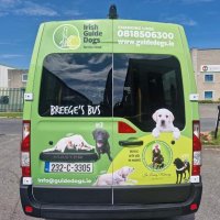 Balbriggan Branch Irish Guide Dogs for the Blind (@branchguide) 's Twitter Profile Photo Balbriggan Branch Irish Guide Dogs for the Blind (@branchguide) 's Twitter Profile Photo
