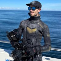SharkmanDan 🦈 (@shark_mandan) 's Twitter Profile