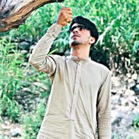 حامد تلاش (@kingkingra36684) 's Twitter Profile