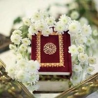 نبيهه الصميلي (@nabihah_so) 's Twitter Profile