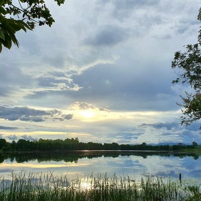 956873401li's profile picture. 