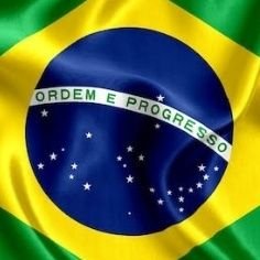 Sou patriota🇧🇷🇧🇷 Amo o BRASIL e sei que vale a pena lutar por ele.