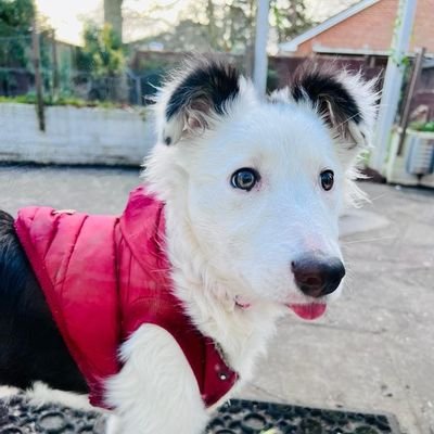 baba64488656013's profile picture. Empathy and compassion are the cornerstones of a united world. Without them, we risk becoming mere animals, locked in a struggle for survival of the fittest.