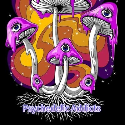 Mushroom | products | supplies | worldwide | shipping | delivery 🍄🍫📦💯