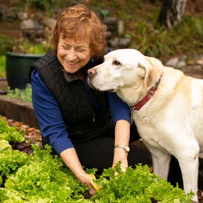 Renee's Garden offers the finest seeds of heirloom and gourmet vegetables, charming cottage garden flowers, and aromatic herbs  from around the world!