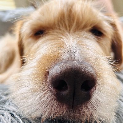 muttman321's profile picture. Live near an ocean, cook w a stove, have an amazing wife, she’s taught me much about life.