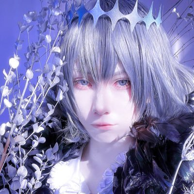 Cosplayer / profile：https://t.co/9Nj8GBC2j7 / サブ垢 制作過程・日常(@VON_0118)