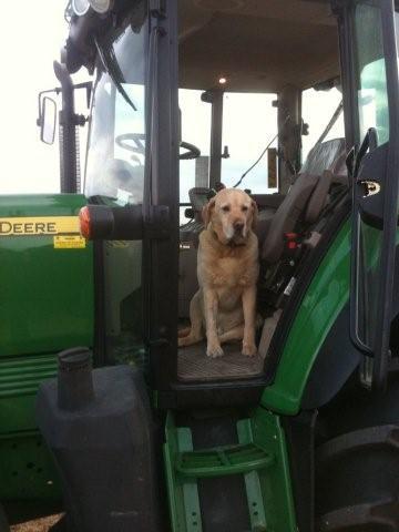 Just another grumpy farmer.