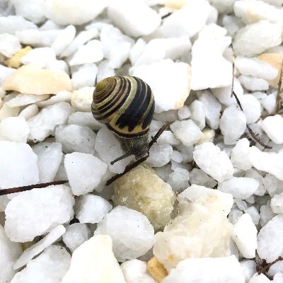 MAFRYSJA's profile picture. 