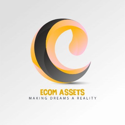 Ecom Assets is Educational Platform who provides the skills that can help you to make money.