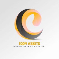 Ecom Assets1(@EcomAssets1) 's Twitter Profile Photo