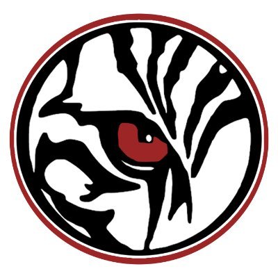 TigerVision Profile