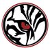 TigerVision (@PHSTigervision) Twitter profile photo
