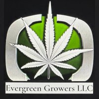 Evergreen Growers LLC(@weed_consultant) 's Twitter Profile Photo