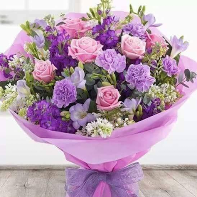 DrSayed_abdou1's profile picture. 