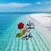 Mahfud Haman (@mahfudhaman) Twitter profile photo Mahfud Haman (@mahfudhaman) Twitter profile photo