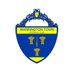 Warrington Town Women FC (@theyellowswomen) Twitter profile photo