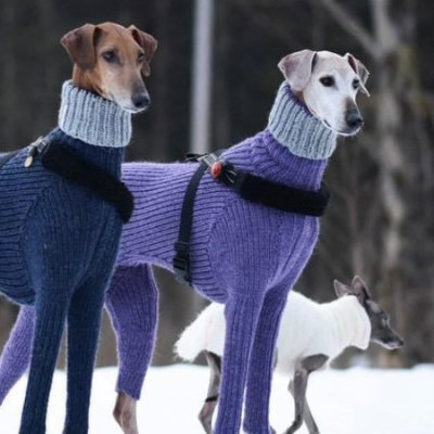 L_A_Moore's profile picture. 