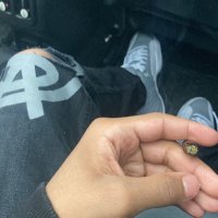 nl.sirr (@nlsirr_) 's Twitter Profile