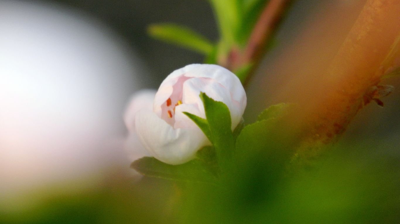 northteres46418's profile picture. 